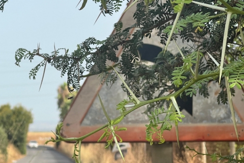 Anuncio limpieza carretera de brenes 1