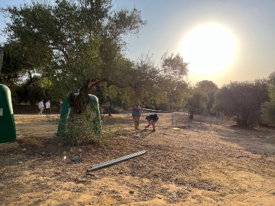 Preparativos Romería 2024 2