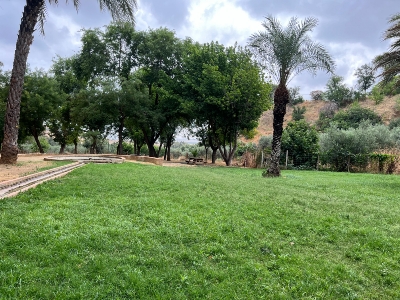 Ubicación conciertos fuente de la muela