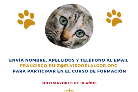 Voluntarios de control de colonias felinas