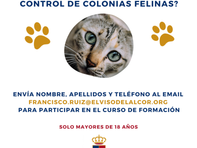 Voluntarios de control de colonias felinas